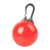 Viajes nocturnos para perros anti-pérdida pasear perros colgantes luminosos especiales colgantes brillantes accesorios para mascotas etiquetas colgantes luz nocturna Item Picture